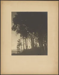 Nymphe dansante