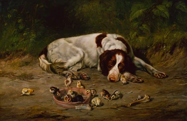Bon chien