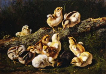 Petits Animaux, 1899