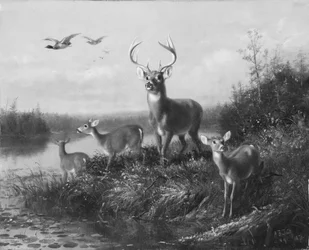 Sur le Qui Vive, Cerf et trois biches, 1871