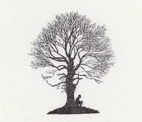 Les feuilles tombent; moi aussi