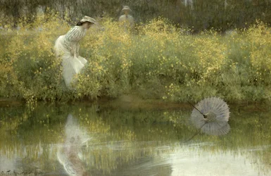 Ombrelle perdue