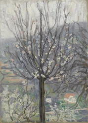 Fleur, tôt le matin