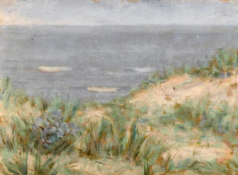 Vue sur la mer avec dunes et herbe de mer en fleurs, vers 1900