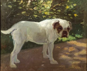 Un bouledogue sur un chemin de jardin