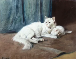 Un chat persan blanc avec ses chatons
