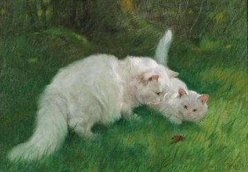 Arthur Heyer Découverte intéressante 1923