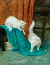 Chats en train de jouer