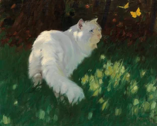 Chat blanc et papillons