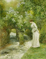 Le ruisseau au printemps