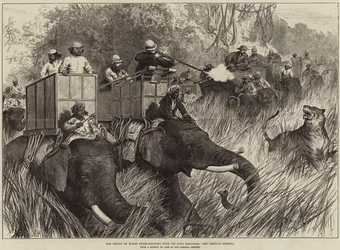 Le prince de Galles chassant le tigre avec Sir Jung Bahadoor, le moment critique