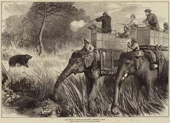 Le Prince de Galles dans le Terai, chassant un Ours