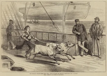 Le voyage de retour du prince d