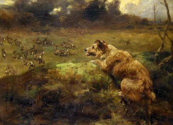 Chasseur de lapins