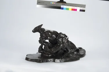 Kangourou et chien