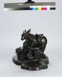 Kangourou et chien