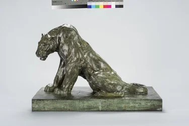 Puma en garde