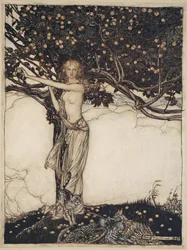 Freia, la belle, illustration de 