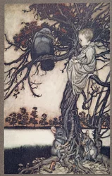 Présenta son étrange cas à Old Solomon Caw, de Peter Pan dans les jardins de Kensington par J M Barrie, pub. 1906