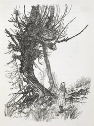 Le Chat du Cheshire dans un arbre regardant Alice