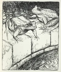 Les grenouilles et le puits, illustration de 