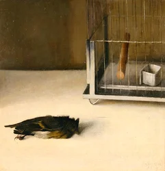 Berlin (Oiseau mort devant une cage) 1933