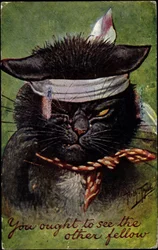Chat, tu devrais voir l