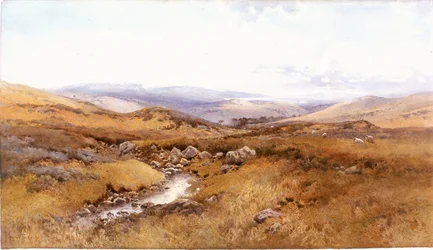 Sur les collines de Windermere