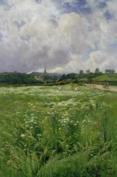 Fenaison