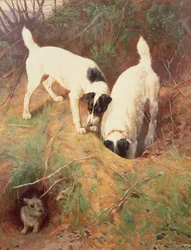 Quelqu