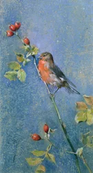 Rouge-gorge sur une branche