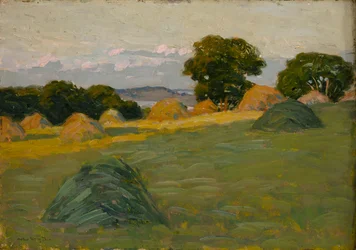 Le champ de la colline