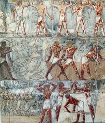 Art Égypte : scène agricole, VIe dynastie