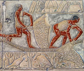 Art Égypte : pêche à l