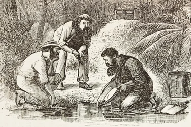 Australie (1880). La vie des chercheurs d
