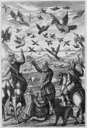 Illustration for "La Nature: revue des sciences et de leurs applications aux arts et a l