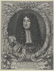 Roi d