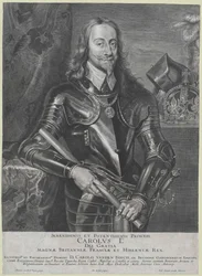 Roi d