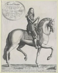 Roi d