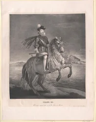 Roi d