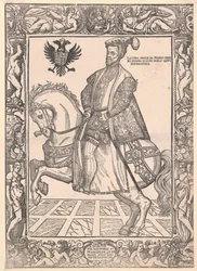 Roi d