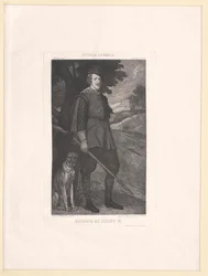 Roi d