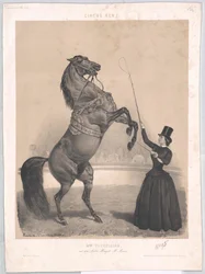 A vécu vers 1860 Tourniaire