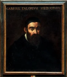 Portrait de Gabriele Falloppia ou Falloppio