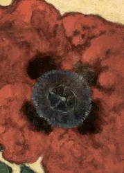 Artur Nikodem Poppy Flower