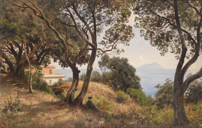 Ascan Lutteroth Vue sud 1889