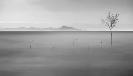 Lac Misty et l