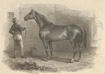 Éclipse américaine, 1824