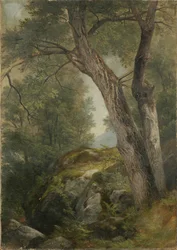 Noyer à Hague, Lake George, NY, 1862