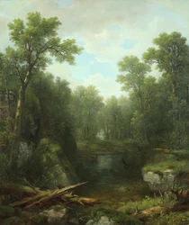 Chapel Pond Brook, Keene Flats, Adirondack Mountains, New York, 1871